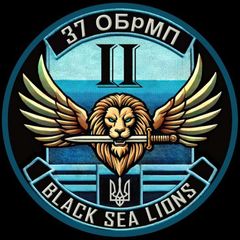 Black Sea Lions 37 ОБрМП avatar