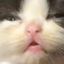 Магнит Кринжа 🐈 Avatar