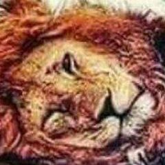 زينو محاميد avatar