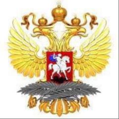 Посольство России в Чаде / Ambassade de Russie au Tchad avatar
