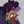 SUSIE x NOELLE CF + DAILY avatar