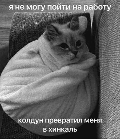 Post media