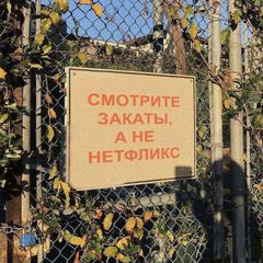 Временное название avatar