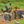 minecraft buildings confession avatar