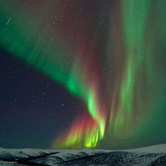 🍀АЛЯСКА🍀 avatar