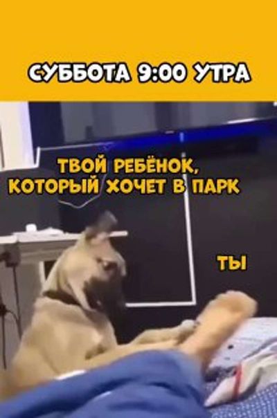 Post media