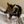 Cat confession ♡ avatar