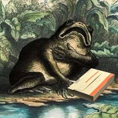 Дайджест книжкових акцій 📚🦅 avatar