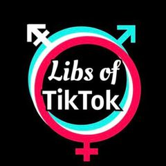 Libs of TikTok Fans avatar