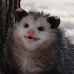 Kasper avatar