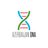 Azerbaijan DNA Chat