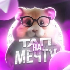Тапаю 🐹 на мечту avatar
