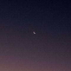 del luna. ☽ ࣪ 𝅄 avatar