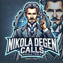 NIKOLA DEGEN CALLS avatar