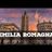 Emilia Romagna Libera Scelta 💯