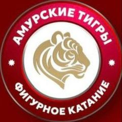 АМУРСКИЕ ТИГРЫ🐅 avatar