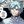 𝐑𝐄𝐏𝐎𝐒𝐓, 𝐈𝐅... | #all avatar
