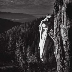Bergwald avatar