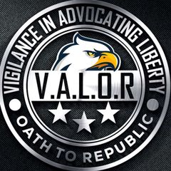 V.A.L.O.R avatar