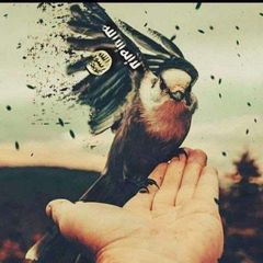 سأمضي والثبات يشد أزري ☝🏻 avatar