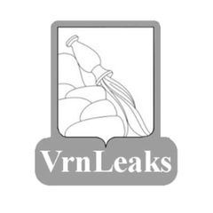 Voronezh Leaks avatar