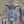human-nonhuman.daily avatar