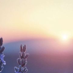 🌅Ⲥⲟⲗⲏыⲱⲕⲟ!🌄 avatar