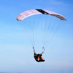 Ne Pro Skydive avatar