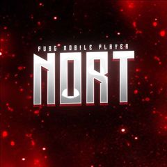 NORT PUBGM avatar