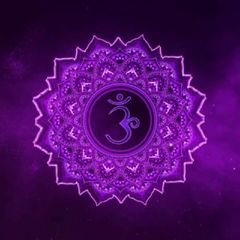💜violet_faal💜 avatar