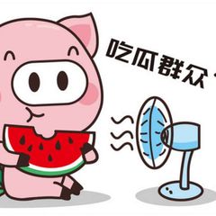 吃瓜群众 avatar