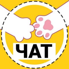 ФРИЛАНСЕРЫ ЧАТ | ВАКАНСИИ | КОТИК avatar