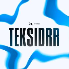 TEKSIDRR avatar