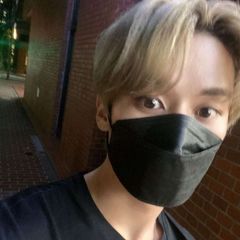 Files avatar