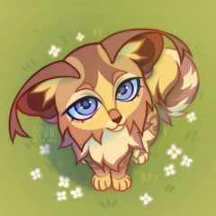🌱sllebers.fossa🪷 avatar
