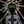ᯓINFO. . . 𖥔 ݁˖𝐀𝐥𝐥𝐮𝐯𝐢𝐨𝐧𝐞 𝐝𝐢 𝐣𝐨𝐣𝐨’ avatar