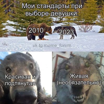 Post media