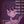 Lacey's Games confession+daily avatar