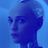 Synthetic Speculation Chat