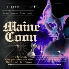 MAINE COON OPEN & HIRTAL. avatar
