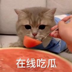 电报吃瓜#色情版 avatar