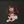 Lisa Brasil #ALTERƎGO avatar
