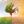 🔥 𝔾𝕃𝕆𝔹𝔸𝕃 𝕎𝔸ℝ𝕄𝕀ℕ𝔾: Cambiamento climatico • Surriscaldamento globale • Green economy avatar