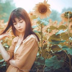 绝命约拍|搞笑剧情|摄影花絮👁 avatar