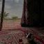 _حَـيَـاةٌ جَـدِيـدَة. Avatar