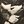 A avatar
