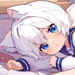 小白猫 avatar