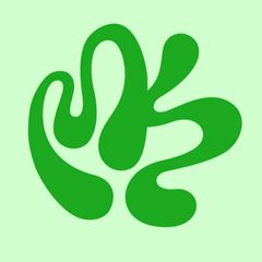 МОРСКАЯ КАПУСТА avatar