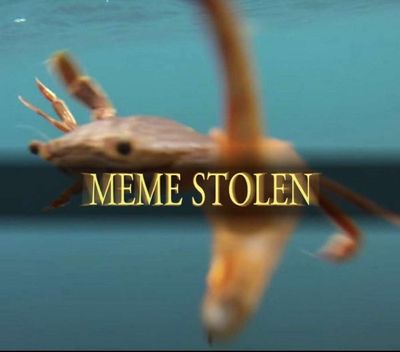 Post media