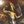 The Golden One avatar